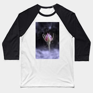 rosebud in the snow 3 in Rainier Oregon, tinted Baseball T-Shirt